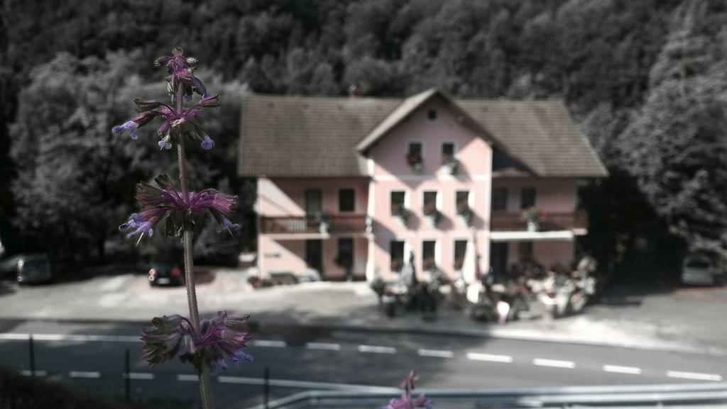 ツェルクノ Okrepcevalnica Kurn'K Bed & Breakfast エクステリア 写真